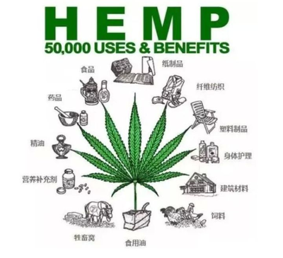 工業(yè)大麻火熱背后 泡沫還是金礦？石油制品制造的視角分析